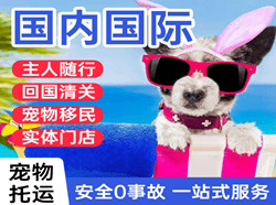 莫高机场托运国际宠物托运 【国